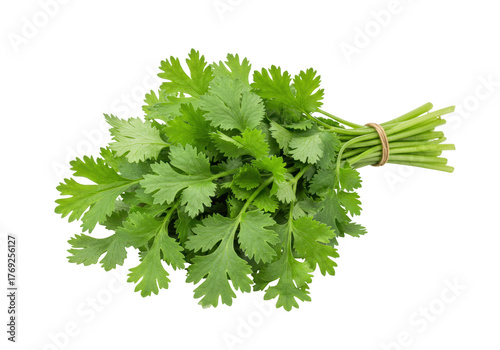 Foto Isolated cilantro bunch herb spice ingredient for Mexican dishes, Thai and Asian