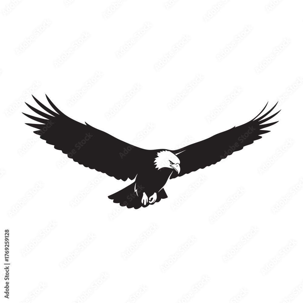 Obraz premium Silhouette of a bald eagle in flight