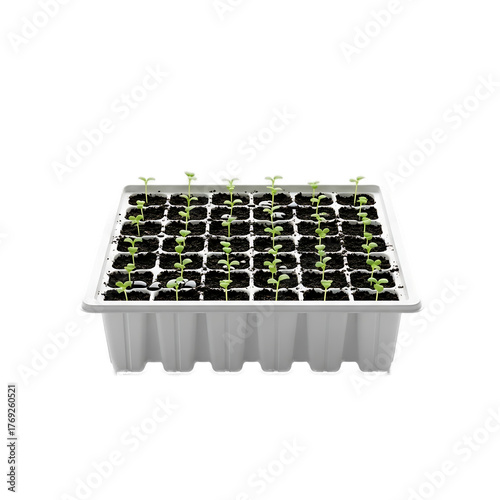 A square planting tray filled with neat, small cells holding soil and tiny green plants, viewed on a plain black background