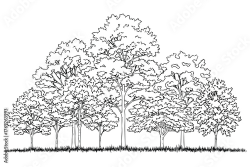 “Forest Tree Line — Detailed Outline Illustration”