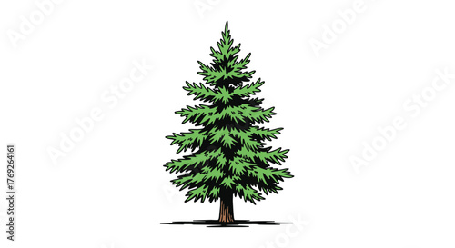 A classic green stylized evergreen tree, like a pine or spruce, depicted with a brown trunk and a conical shape on a white background.