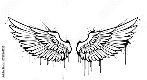 A pair of stylized wings with paint splatter and drip effects, rendered in black and white, evoking a graffiti or grunge aesthetic for design elements.