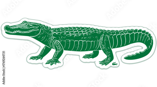 Stylized Green Alligator Illustration with White Outline, Full Body Side View of a Predatory Reptile, Vector Graphic