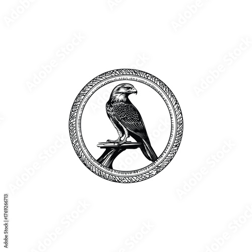Detailed vintage engraving illustration of a powerful falcon or hawk perched on a branch, enclosed within a textured circular frame