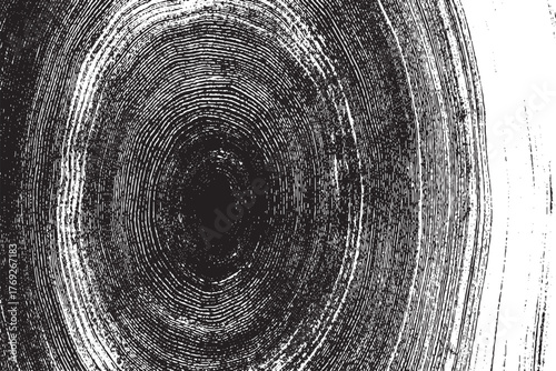 Black and White Tree Ring Texture with Circular Growth Pattern