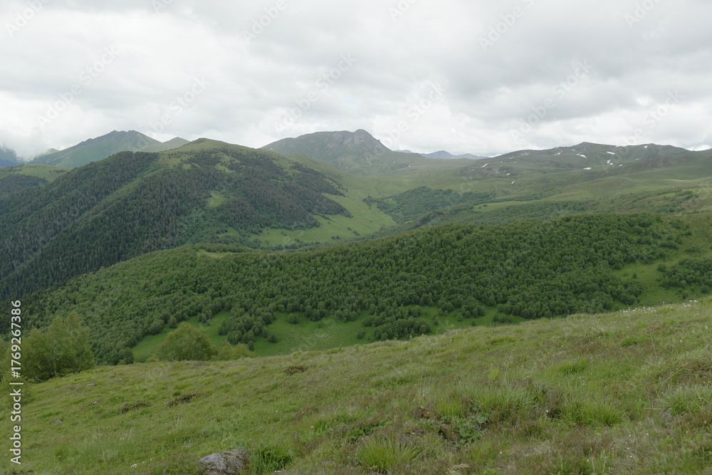 Naklejka premium The summer mountains of Arkhyz are covered with rolling meadows, green ridges, forests and solitary trees