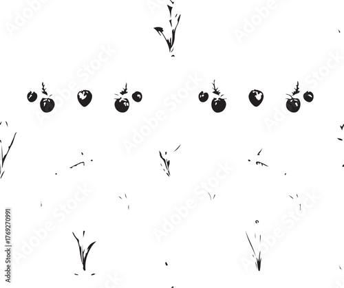 Scattered black cherry tomatoes and grass blades on white background Keywords: cherry tomato