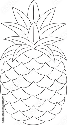 Vector image of pineapple on isolated white background. Citrus fruit. Ripe and tasty product.