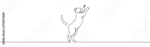 Minimalist continuous line art of a cat standing on hind legs with paws raised, in a playful pose.
