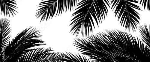 silhouetted palm leaves against a white background creating a tropical border