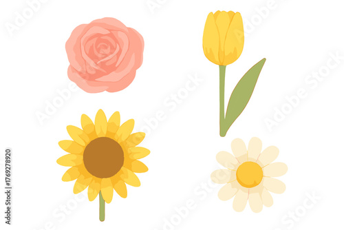 Watercolor rose, tulip, sunflower, and daisy flowers for spring and summer designs