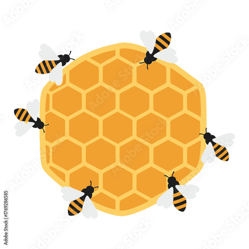 Honeycomb with bee isolated on white background for nature and beekeeping concept design