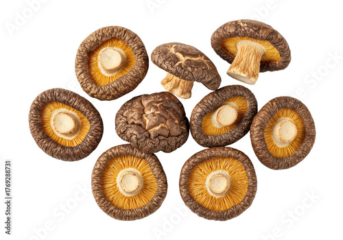 Isolated Shiitake mushrooms group close-up, dried organic vegetable food, brown, yellow caps