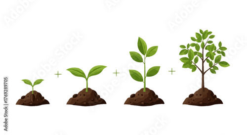 Four stages of plant growth depicted with increasing size and complexity, showing a seedling to a small tree, separated by plus signs.