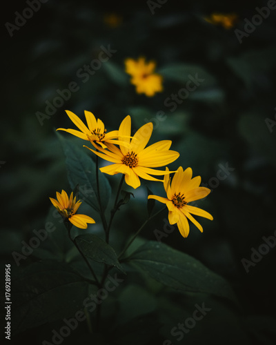 yellow flower in water