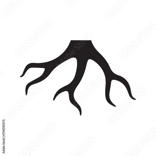 Flame inspired downward root connecting power stability and motion