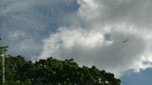 Glider flying below clouds above treetops, calm skyscape view