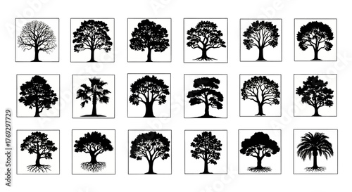 Assorted black and white tree silhouettes illustration showcasing arboreal diversity