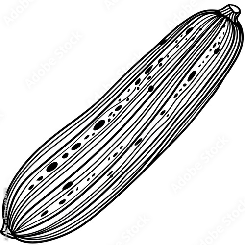 Detailed black and white illustration of a fresh zucchini vegetable