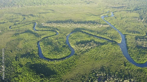 Aerial view of river and mangrove forest, Cape Tribulation, Daintree National park, Queensland, Australia