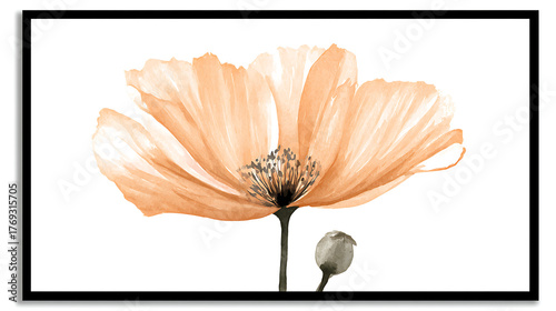 A painting of a flower with a white background