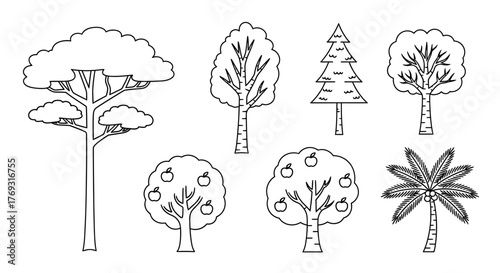 Outlined Trees Illustration Depicting Diverse Species in a Minimalist Black and White Drawing