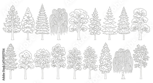 Elegant line drawing of diverse trees, a nature-inspired design for various applications and