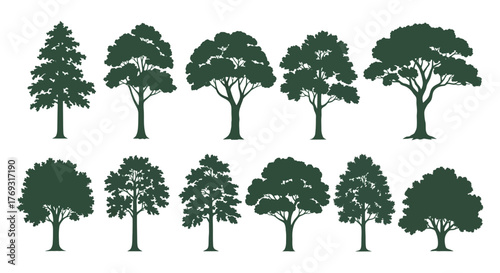 Diverse collection of tree silhouette vectors offering versatile graphic design possibilities for