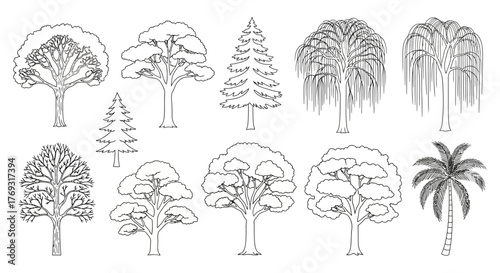Line art collection of diverse tree species for artistic representation and ecological studies