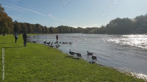 A flood on the river Trent in Nottingham, UK 