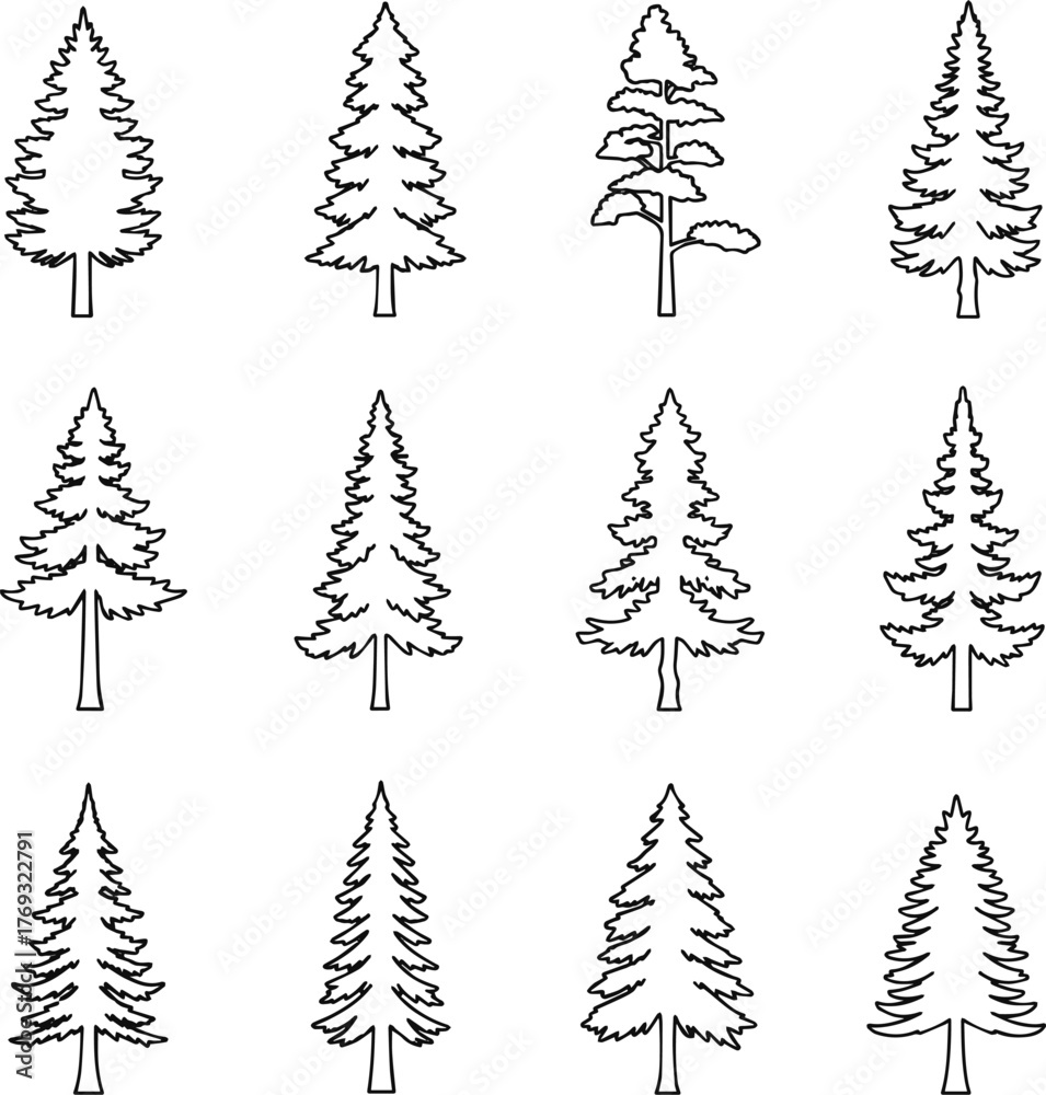 Obraz premium Isolated a kinds of deferent Pine. Minimal style cad tree line, Side view, set of graphics trees elements outline symbol for architecture and landscape design drawing. vector art with white background