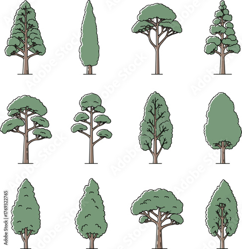 Isolated a kinds of deferent Pine Cypres tree line drawing, Minimal style, Side view, set of graphics trees elements outline symbol for architecture and landscape design Cupressus vector art.
