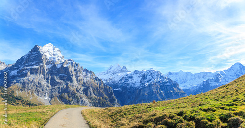 Canvas Print panoramic view of snow capped mountain First with meadow in foreground in autumn