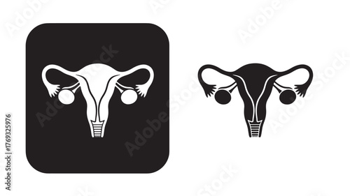 Female reproductive system illustration with two variations on transparent background silhouette