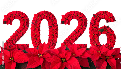 Festive Poinsettia Digit 2026 – Holiday Decoration PNG Transparent