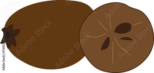 Sapodilla vector illustration, simple design