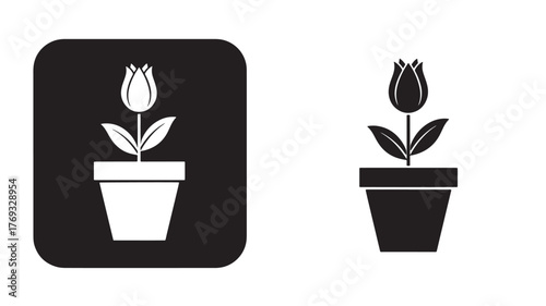 Two potted tulips in black and white a versatile design on transparent background silhouette