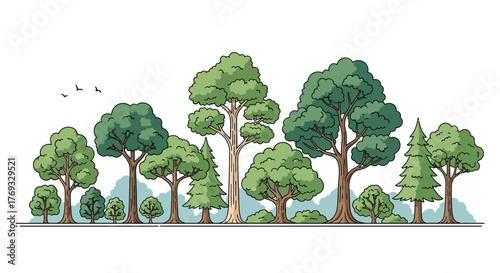 Whimsical woodland illustration featuring a variety of trees and bird silhouettes for backgrounds