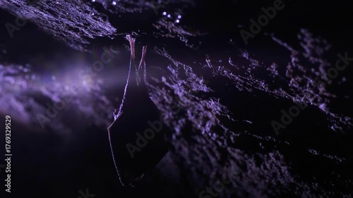 Close up small sleeping lesser horseshoe bat covered by wings, hanging upside down on top of cold arched brick cellar and hibernate. Creative wildlife