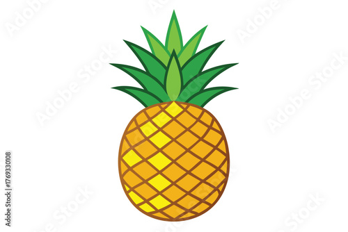pineapple vector in white background