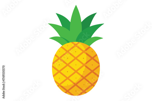 pineapple vector in white background