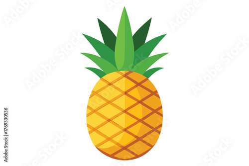pineapple vector in white background