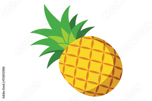 pineapple vector in white background