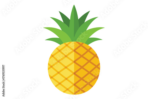 pineapple vector in white background