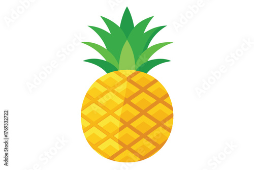 pineapple vector in white background