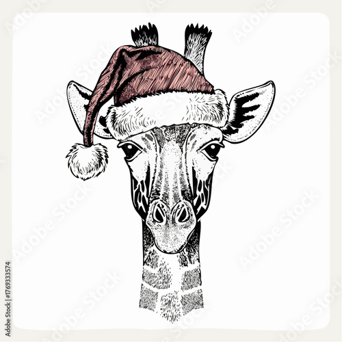 Giraffe Christmas Hat Illustration, Animal Holiday Season Drawing