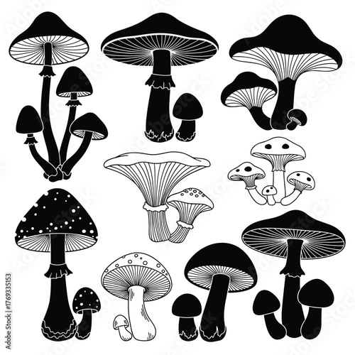 Collection of various black and white mushroom illustrations in different shapes and sizes.