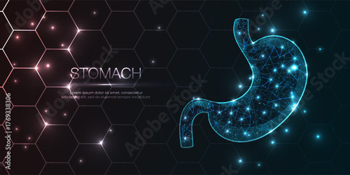 Human stomach abstract 3D, organ anatomy with low poly wireframe design, 
Concept gastric care and futuristic technology. Geometric hexagon background. Vector illustration.