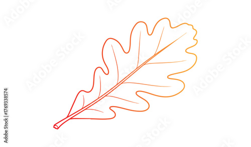 Autumn oak leaf illustration with warm gradient colors and outline