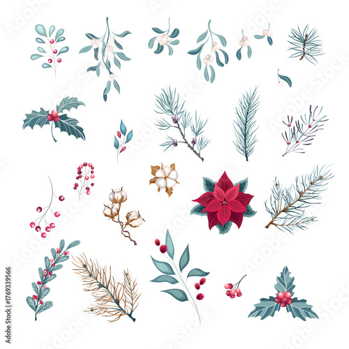 Set of decorative plants Christmas